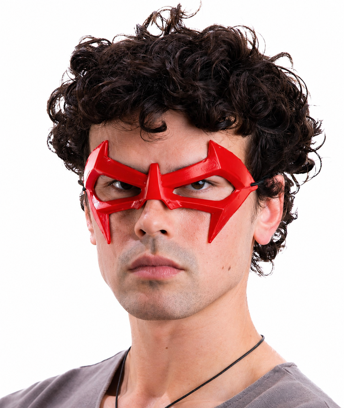 Nightwing Mask